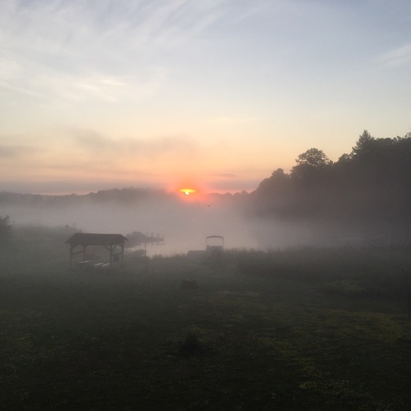 Meet your Posher, Catherine - Picture 1 of 1